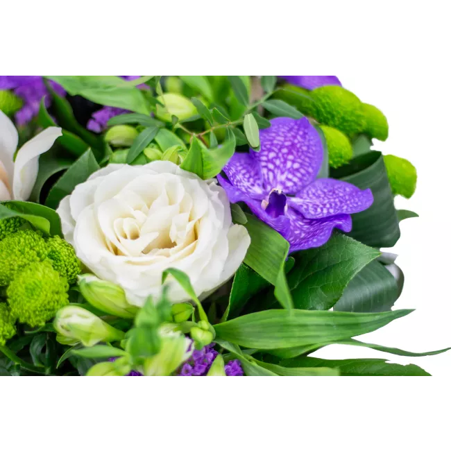 Kytice fialových květů